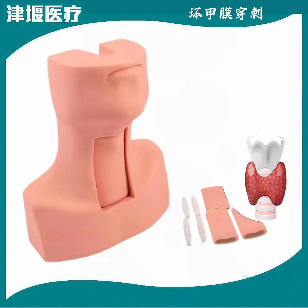 J58气管切开插管训练环甲膜穿刺模型环状软骨气管切开术训练模拟