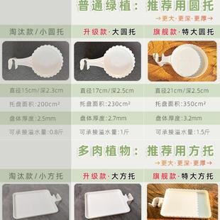 顶天立地花架置物室内窗台QDE飘窗肉收纳架阳台架悬多挂绿萝吊兰