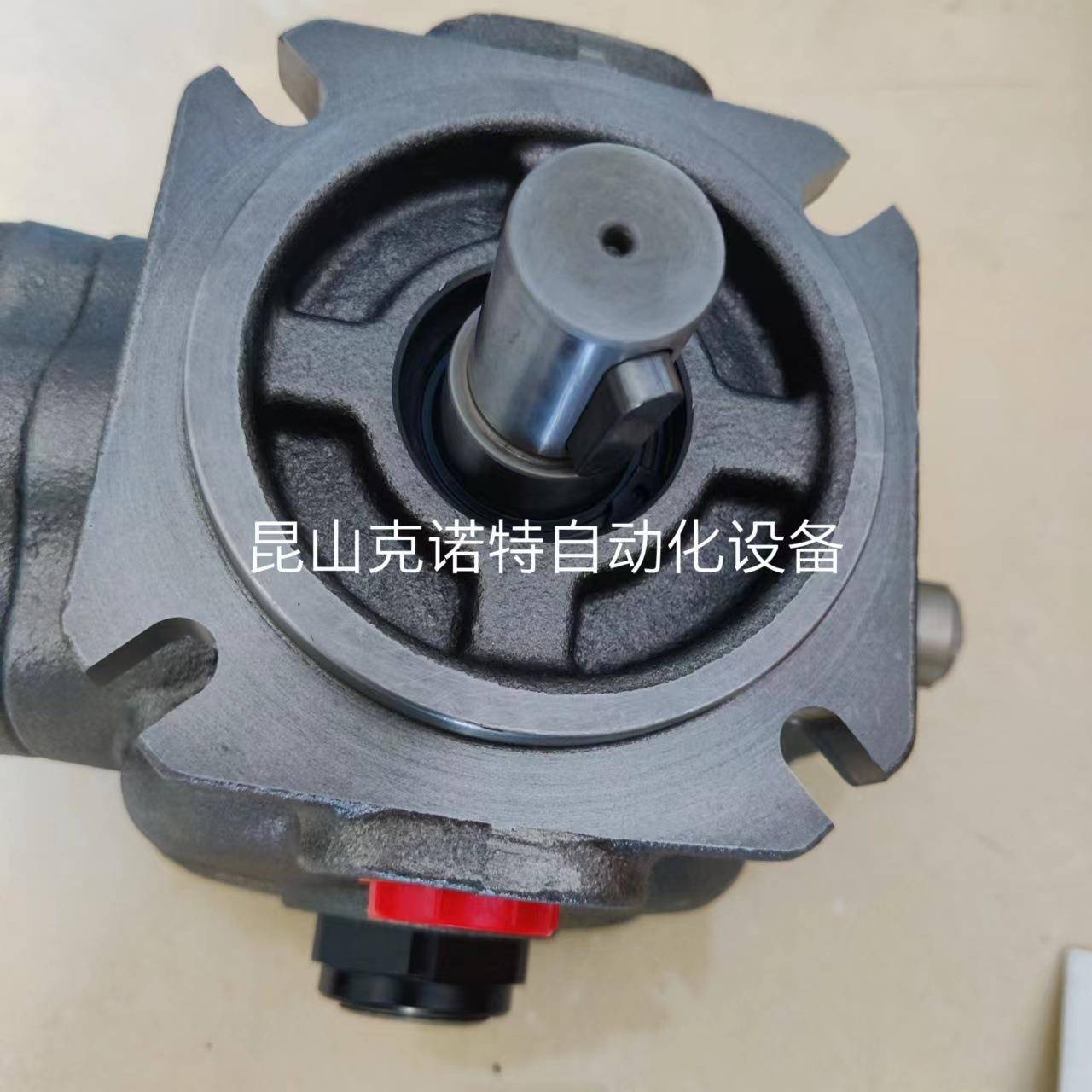 01PLP2WDM40FRLM意大利-布莱玛BERM叶A片油泵