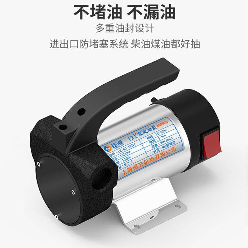臣源电动抽油泵柴油小型12V24V220V伏自动加油机自吸泵直流抽油器