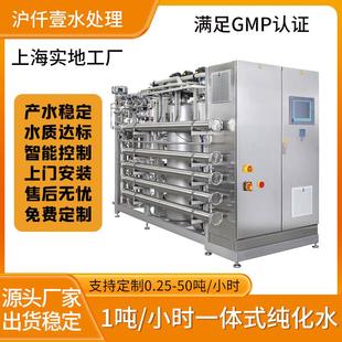 1吨纯水设备双级反渗透设备超纯水机医药制药GMP纯化水处理设备