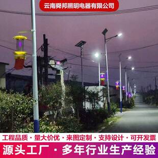户外杀虫灯庭院电击式灭蚊灯果园村庄小区光控家用