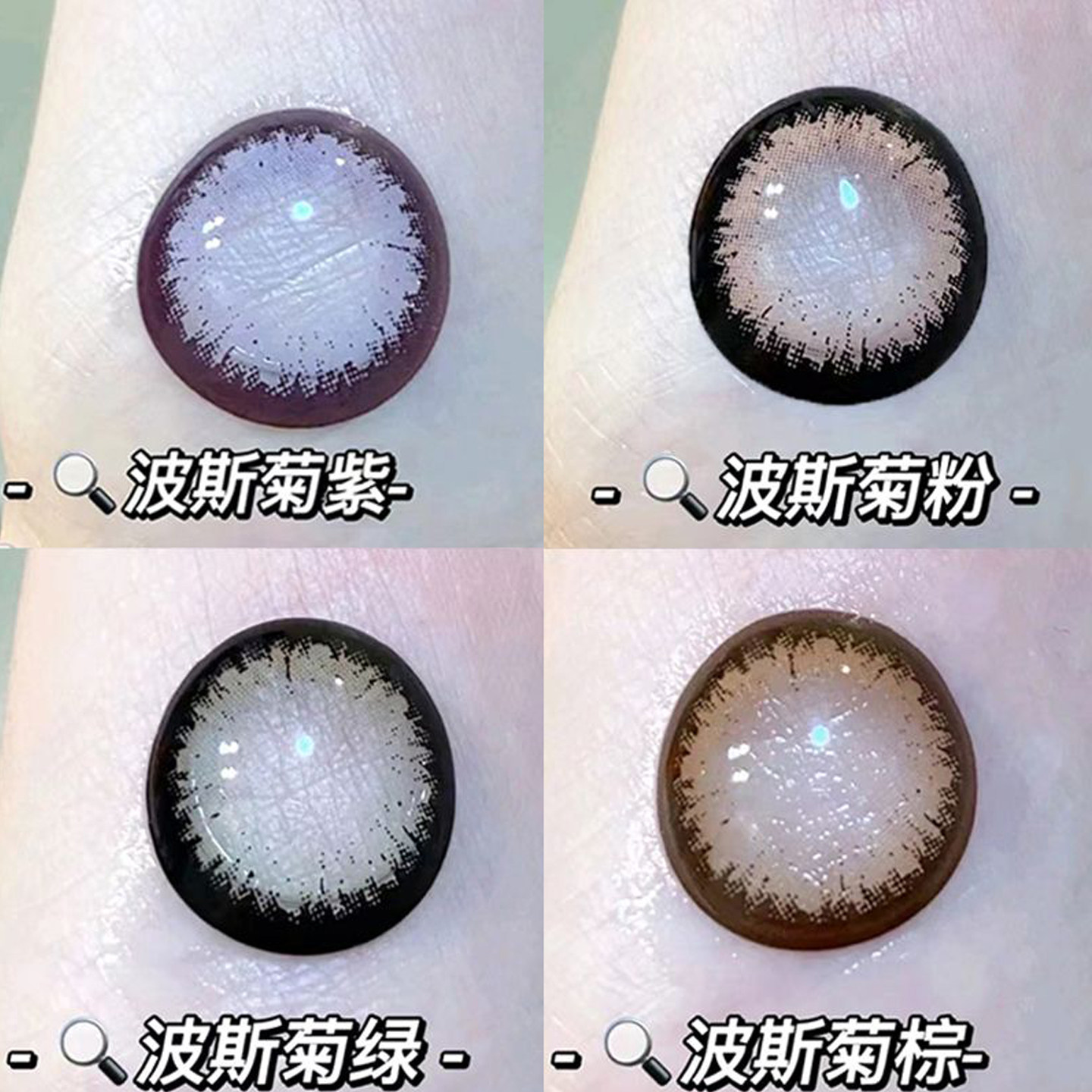 自然混血大直径大眼波斯菊紫粉棕彩色隐形眼镜