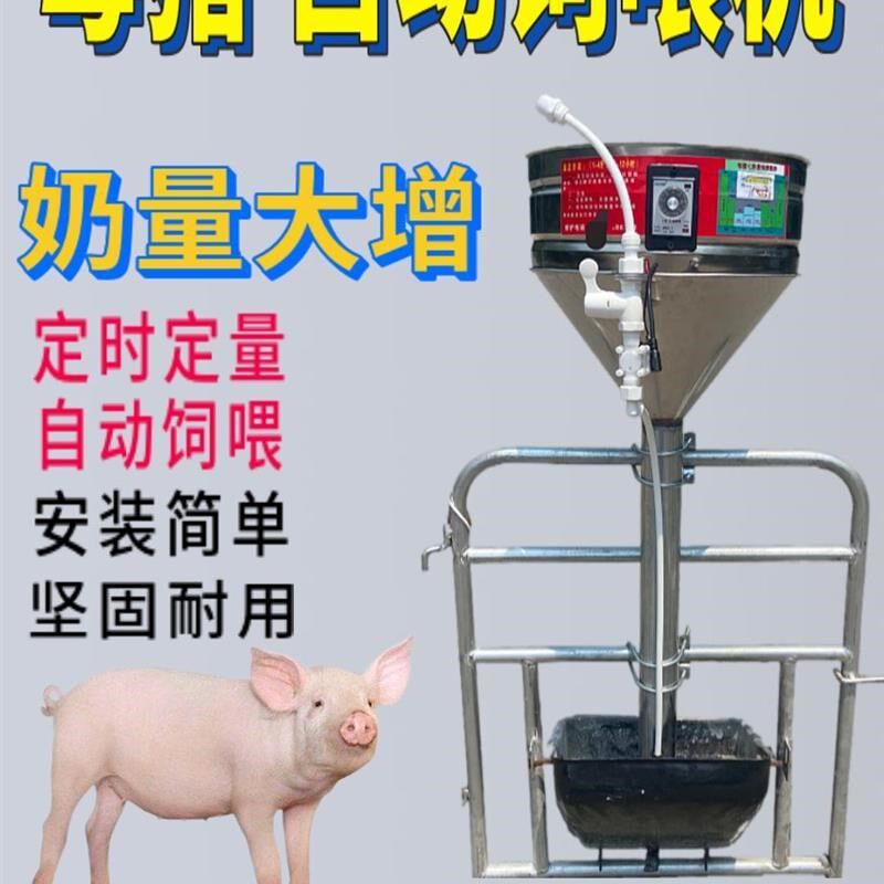 母猪定时喂食器全自动下料器下料器自动控制饲喂智能器粥料器喂猪