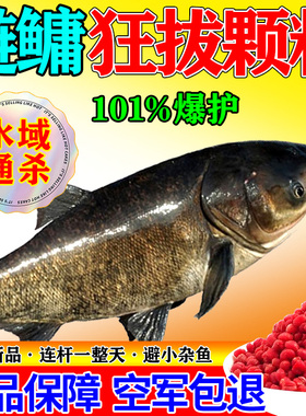 邓刚钓鱼饵料颗粒鲜丹蚯蚓红虫颗粒全能鲢鳙鲤鱼草鱼鳊鱼青鱼专用