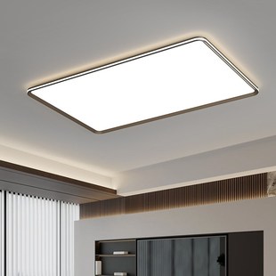 意识极简a客厅吸顶灯高级感超薄全光谱护眼卧室餐厅全屋灯具套餐