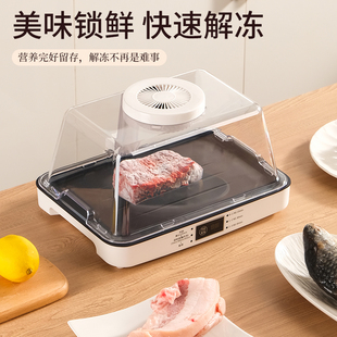 解冻神器家用f快速解冻肉牛排解冻导热板恒温化冻盘保鲜解冻机器
