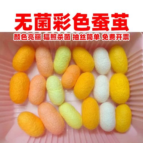 彩色蚕茧壳手工diy抽丝机做被子工艺品手工画材料扇子加工干金茧