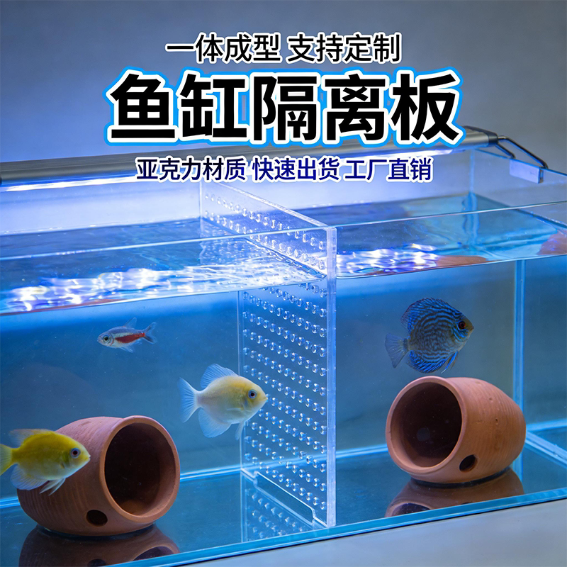 鱼缸隔离板亚克力鱼缸隔板洞洞板水族箱内置分离板定制鱼苗分隔网