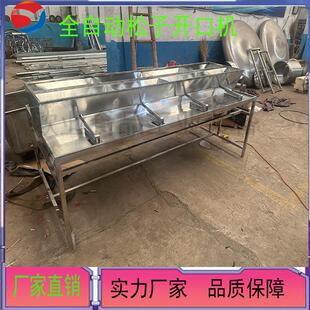 松子怎么开口 吉林松子开口机 梅河口松子加工设备 笨炒松子机器