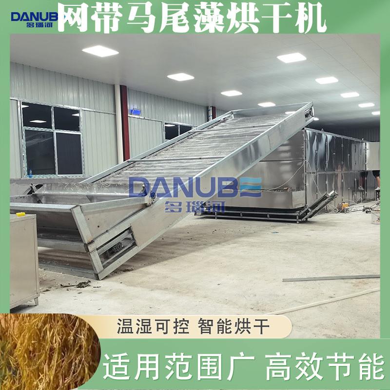 网带马尾藻烘干机 全自动海蒿子海带花干燥机大型 长寿菜烘干设备