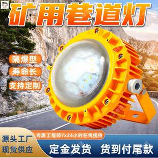 功耗低LED巷道灯 DJS24/127L(B)矿用隔爆兼本质安全型LED巷道灯