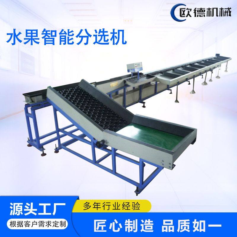橙子分选机 橘子苹果牛油果重量多级分拣 智能高效精准度高不锈钢,清洗/食品/商业设备,选果机/分选机,淘宝优惠券,粉丝福利购,淘宝优惠卷