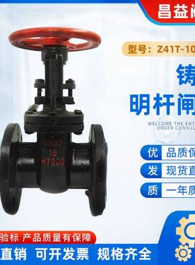 Z41T/W-10/16手动防护明杆铁芯铜芯铜杆法兰闸阀HT200