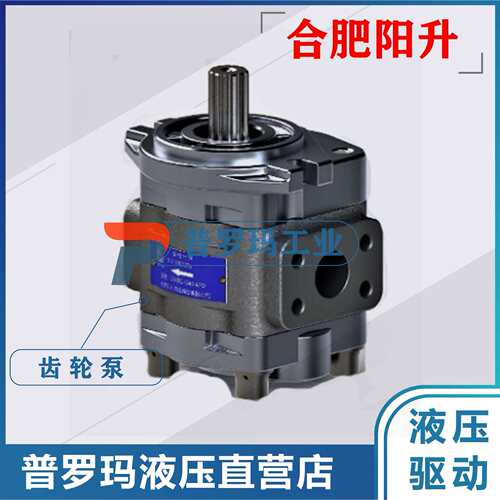 合肥阳升齿轮泵CBT-F410/F412.5-ALP齿轮泵叉车机械工程车辆