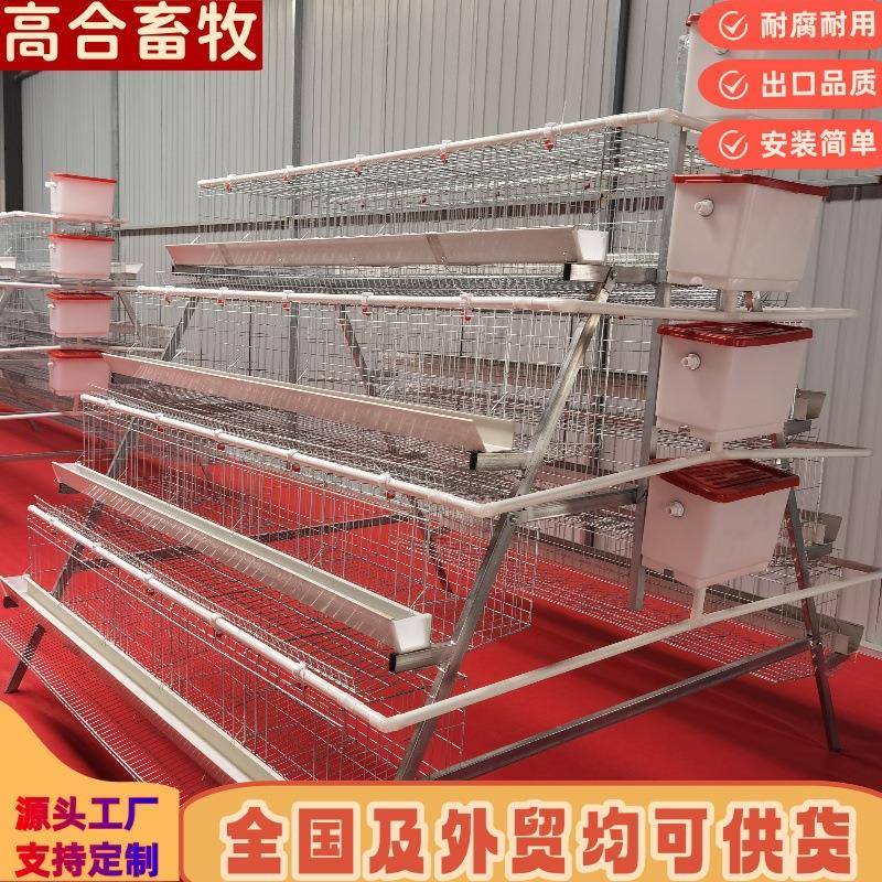 四层五门蛋鸡笼鸡笼镀锌笼三层四层阶梯蛋鸡笼工厂直供可供外贸