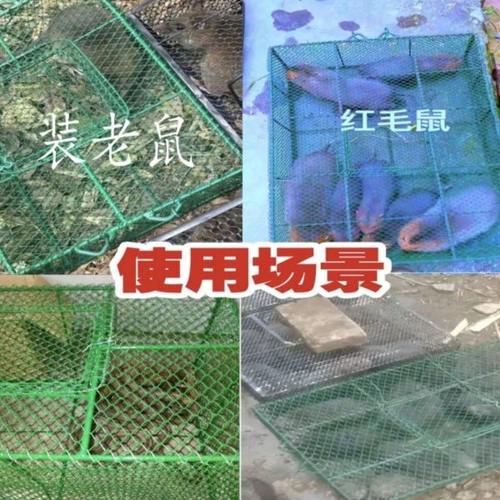 竹鼠苗运输笼老鼠运输笼养蛇运输笼长尾鼠芒鼠运输笼豚鼠运输笼