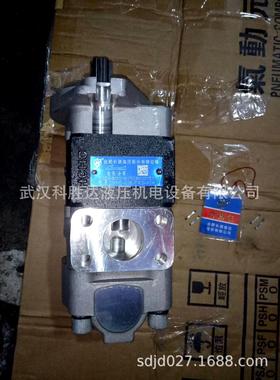 HCHC 合肥长源双联齿轮油泵叉车泵CBHYD-G36/F4.5-ATH ATΦL、ATH