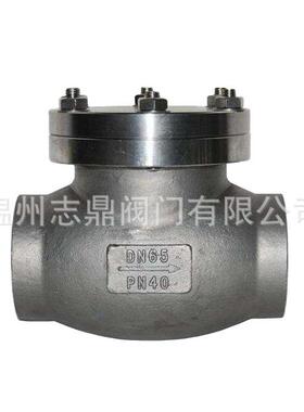 DH61F-16/40P焊接低温止回阀304不锈钢氮气低温管道-195°