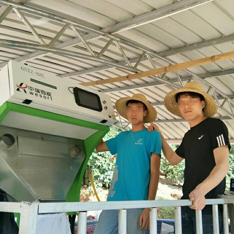 水果色选葡萄干蓝干分色机干机FYU果筛莓选备小设型色选机家用