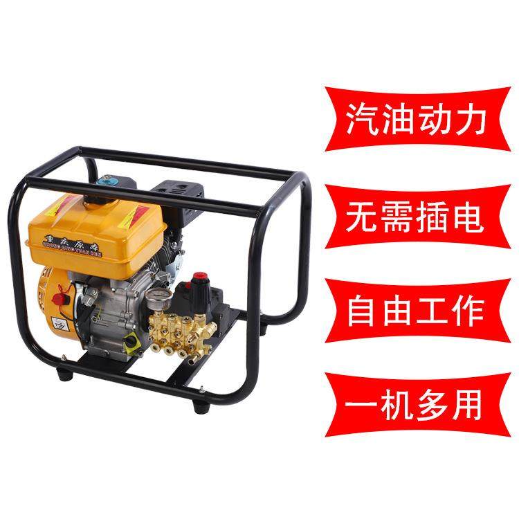 雷格1713汽油动力高压洗车机商用动力高压水泵洗地机,鲜花速递/花卉仿真/绿植园艺,割草机/草坪机,淘宝优惠券,粉丝福利购,淘宝优惠卷
