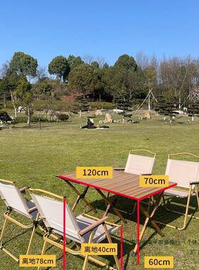 蛋卷桌户外F97S567T可折叠野餐野烤便携式露营桌烧椅全套装源头备