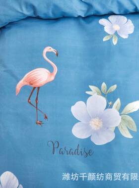 磨毛印卡通被套水人OAN洗被被单宿舍床上用品春秋花季单个罩单双