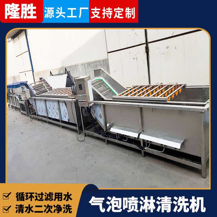 多功能果蔬气泡清洗去杂流水线