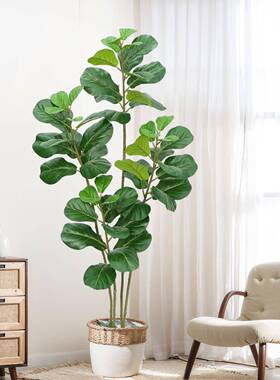 装仿真绿植叶榕型室内QUD客厅落地摆件饰仿生植琴物造景盆栽假大