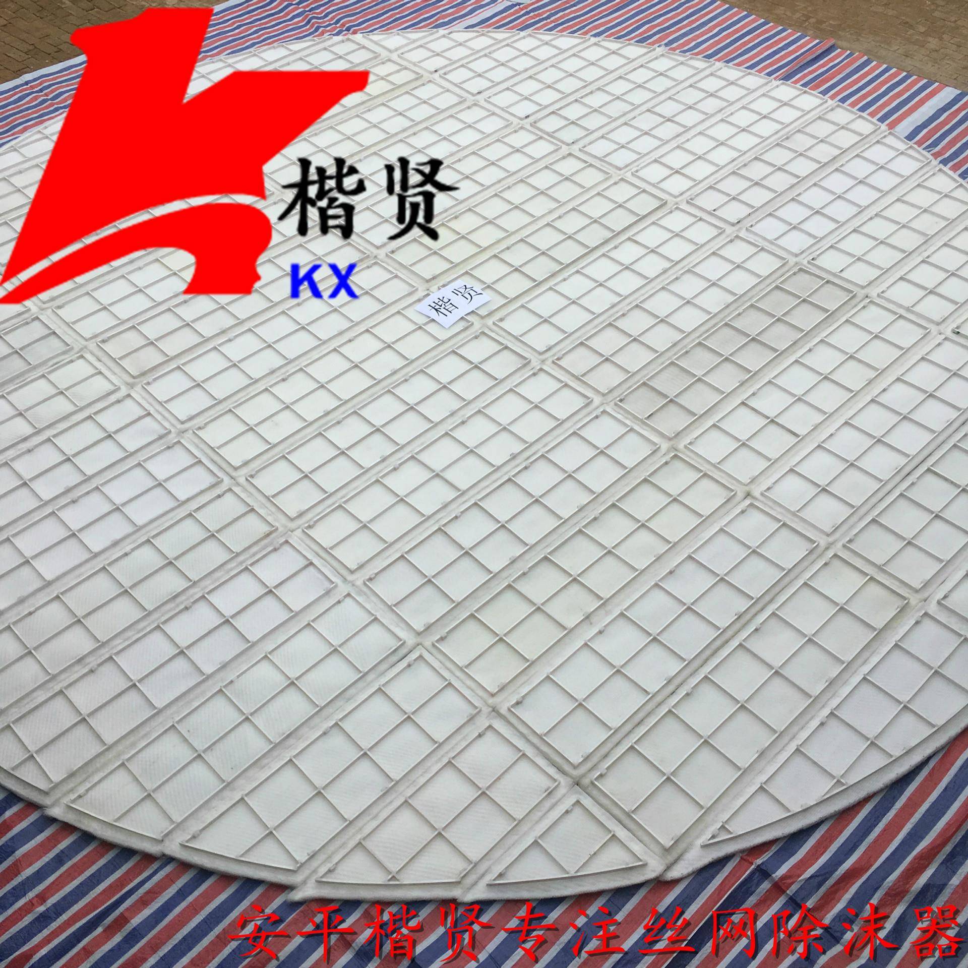 P塑料丝网除沫器/液过滤网/不锈钢GAB丝网除雾气器/P油气分离