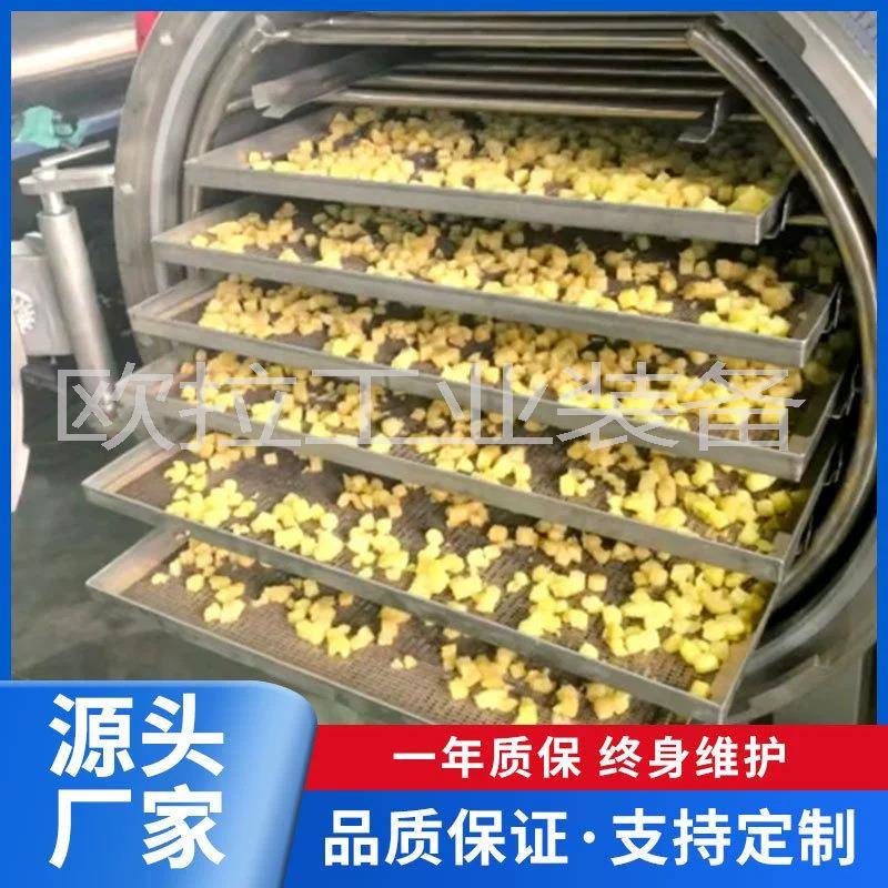 水蜜桃蔬膨化设备厂HWO家萝蜜脆片膨化菠机蔬果脆片生果产线