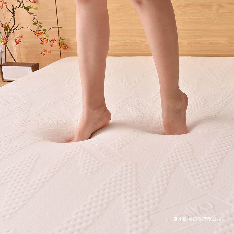 人可拆洗记忆海绵褥床垫软垫家用卧室668899双加榻榻米折叠垫厚被