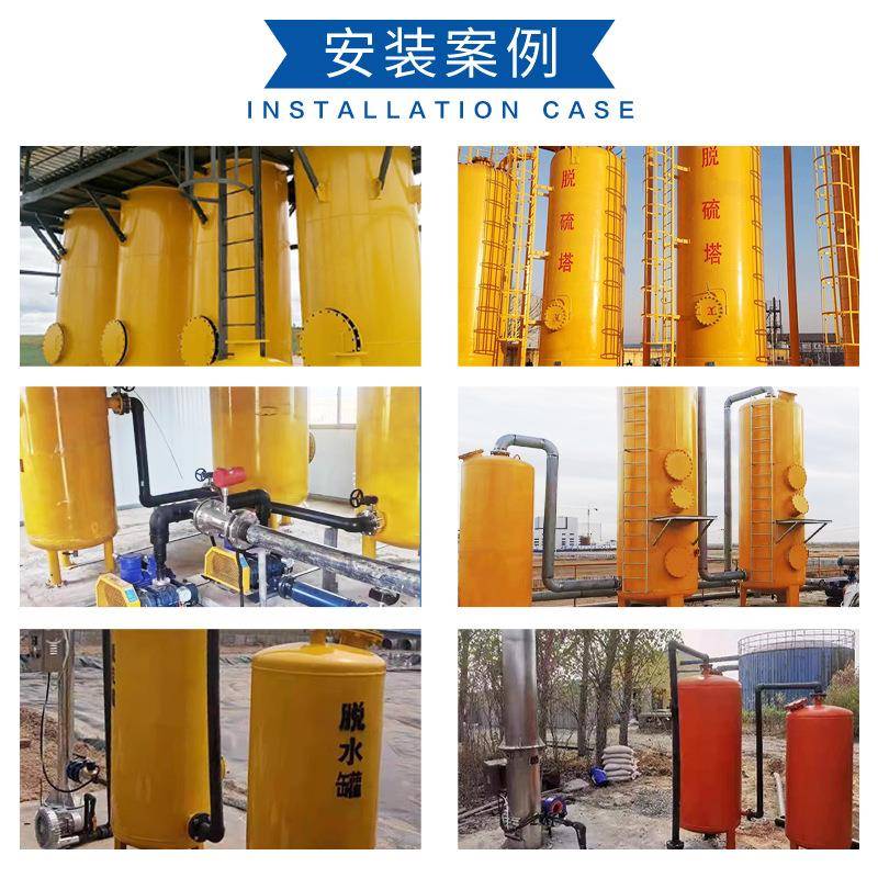 硫沼气脱硫化器调硫压过滤器除臭防腐蚀脱水脱净罐设CGL备增压泵
