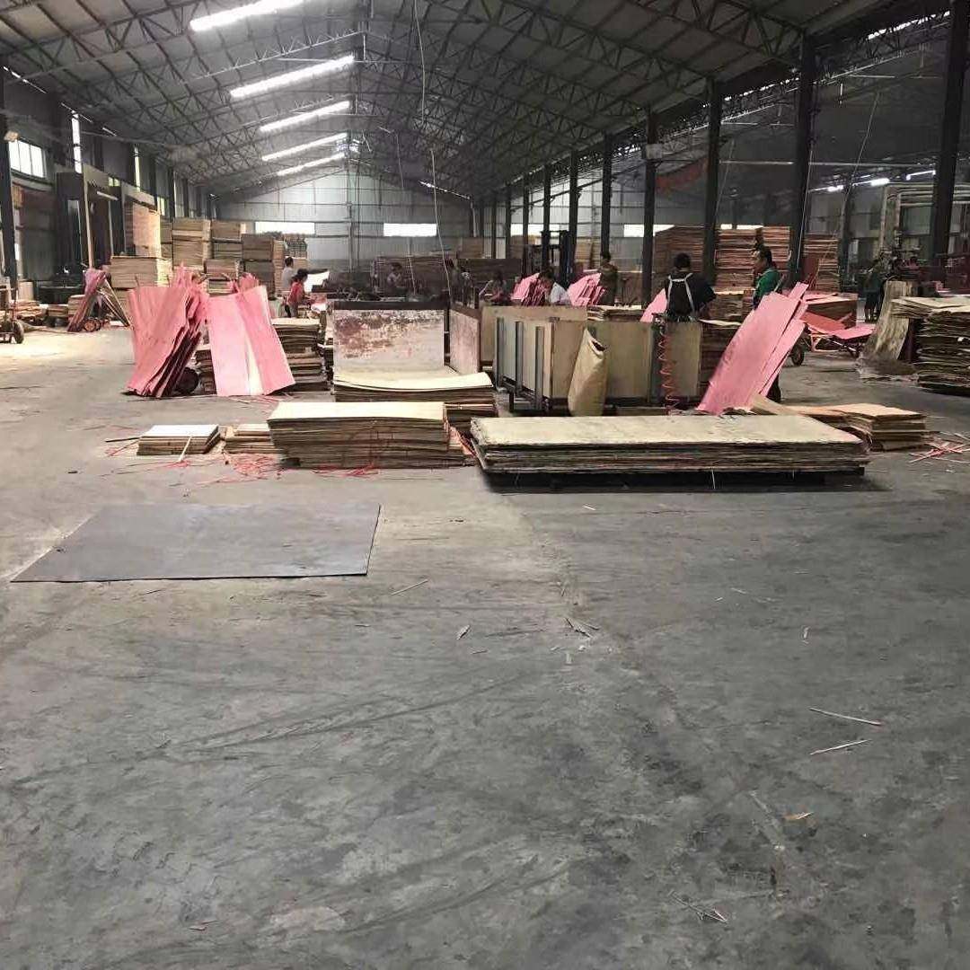 厂家货源层12mm胶合板杨多板板E0沙发板E1沙发杨木XJT包装托木盘