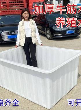 塑料水箱长方形加产牛筋大储FVR水桶卖鱼浅号盆养鱼厚周转箱水养