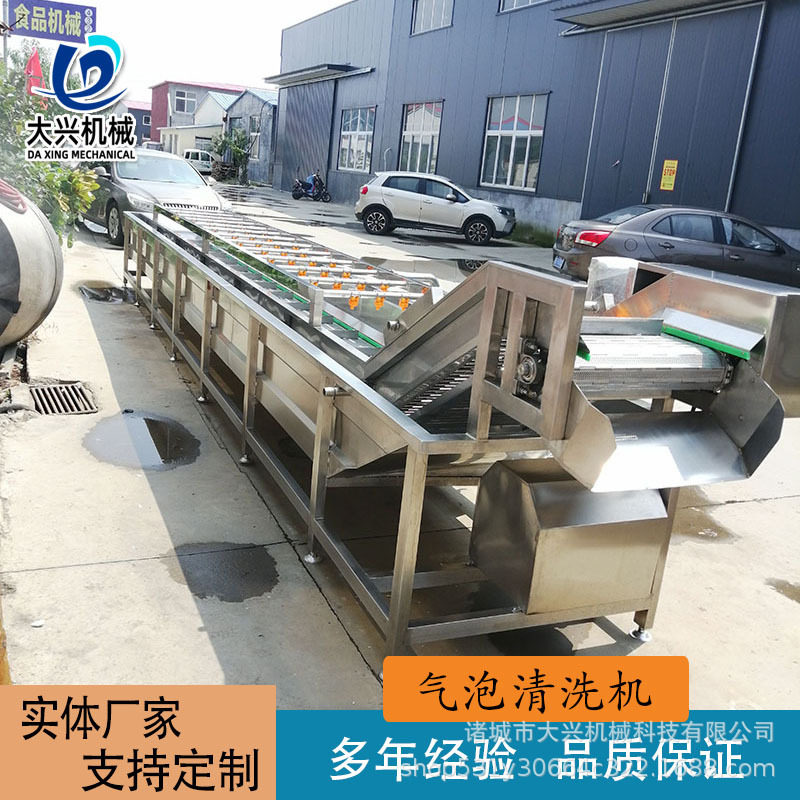 杨梅荔枝气泡清洗机 去农残果蔬气泡消毒机 红薯土豆全自动清洗线