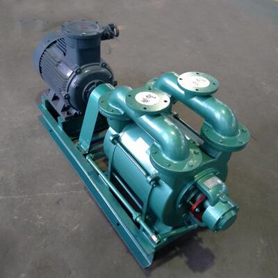 2SK抽系列真泵水环式空泵工业用水循环真空泵真不空锈钢大FYR功率