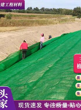 聚乙烯三维植被网EM2 EM3 园林绿化护坡用三维复合绿色土工网