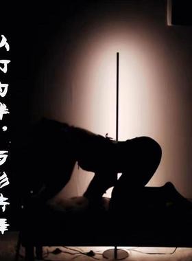 落地灯GB主调色跳灯光专用直播舞背景舞影播子R补光灯幻彩DD10186