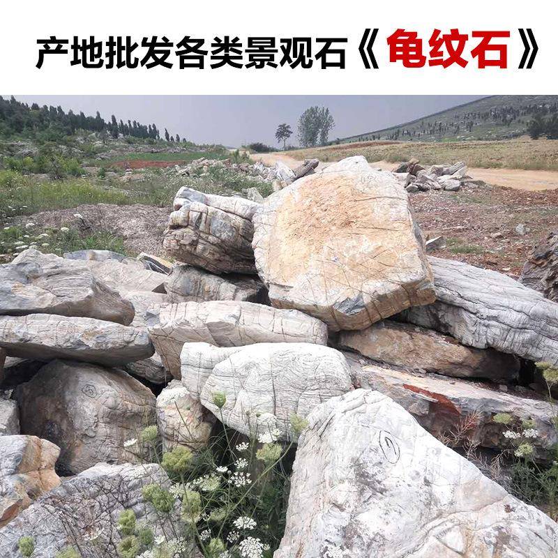 龟纹石材天然庭原院鱼池石假山石石料园林假GWS-01山点缀造景石流