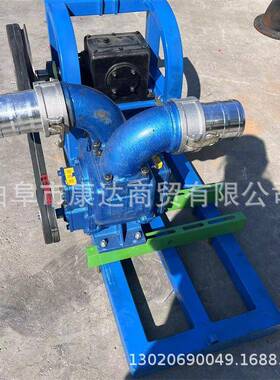 小型抽殖水排水泵抽养粪便力淤泥GMZ泵2马框架手摇3抽水泵