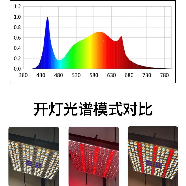 植物生长灯阳种花绿植多肉补台光灯L遥控定时悬挂DEleLBJd灯可调