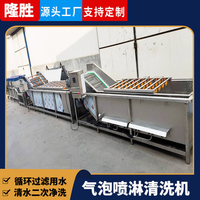 隆胜全自动油菜洗菜机 食堂净菜流水线 芹菜果蔬气泡清洗机