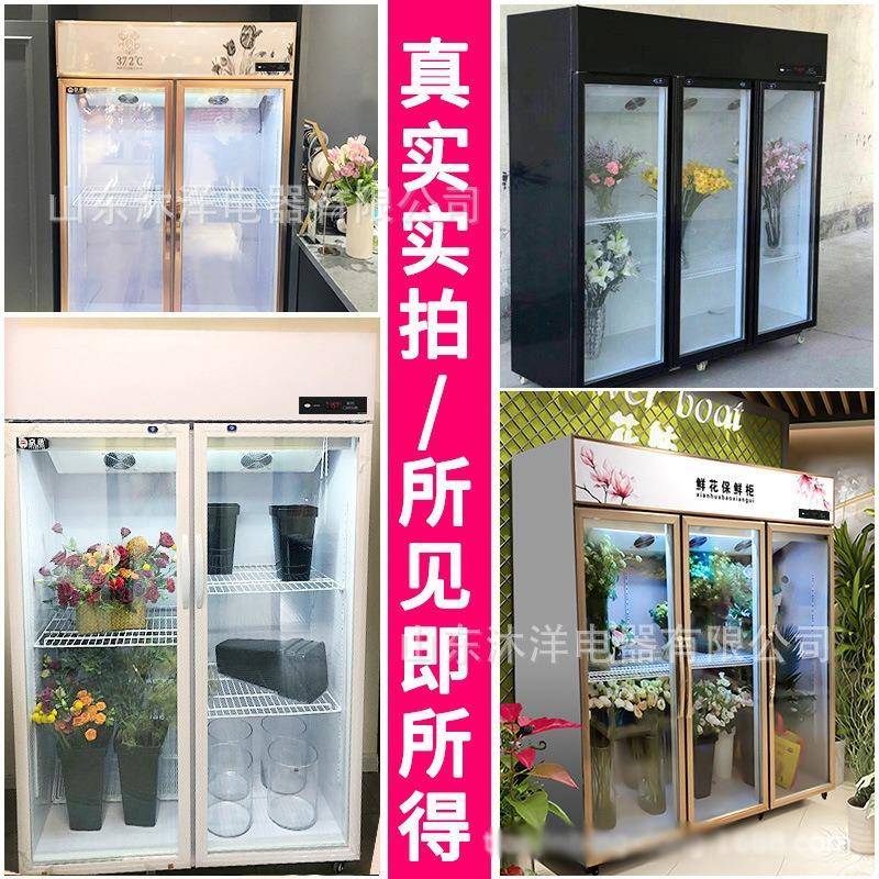 鲜花保鲜柜冷藏展示柜冰箱酒花店花束风冷单三料双门饮啤商Rw-011