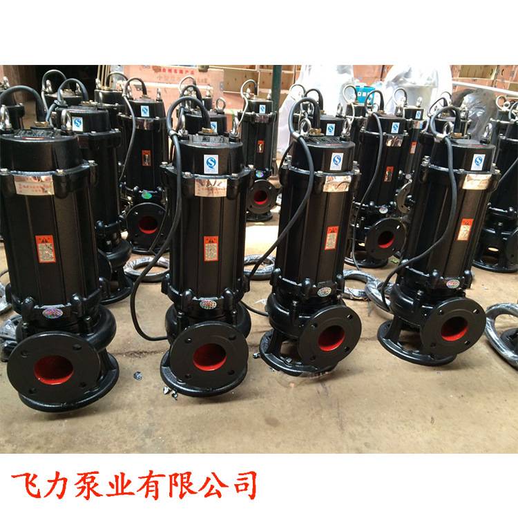 扬程40米 无堵塞潜水排污泵 100WQ80-40-18.5  可耦合式安装