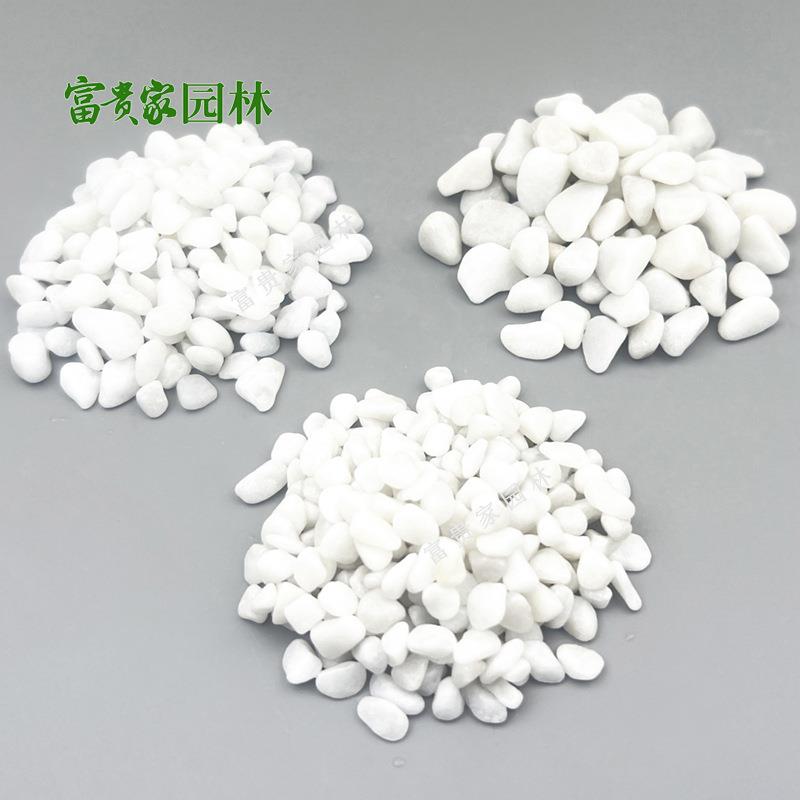 庭院盆栽园艺多无品牌/肉铺面石机制园林景白石子卵白小色鹅石厂 - 实物图