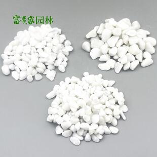 庭院盆栽园艺多无品牌/肉铺面石机制园林景白石子卵白小色鹅石厂