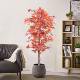 红枫树仿真桦树植物盆栽室假内绿植场摄JFH影景装 饰商景观造树