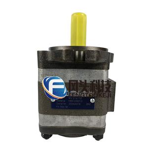 PVP6 IPVP油I IPVP7全系列 IZTBPV4 德国福5伊特VOITH齿轮泵IPV3