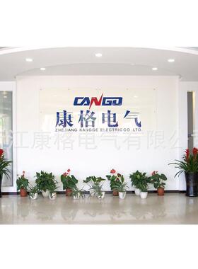 厂家直销箱计量电箱CT箱VWH三相三明表位透防水电表箱塑料配动力